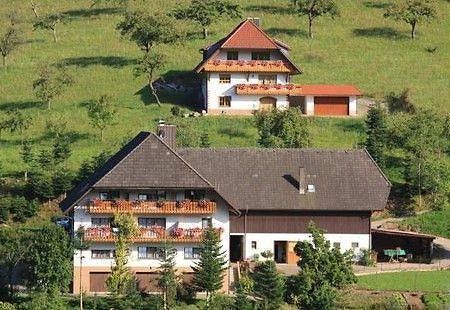 Kempfenhof Oberharmersbach Εξωτερικό φωτογραφία